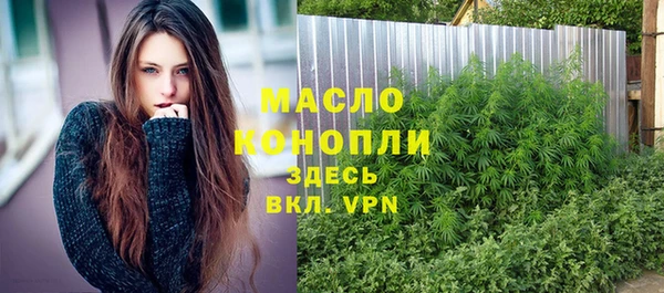 сатива Новозыбков