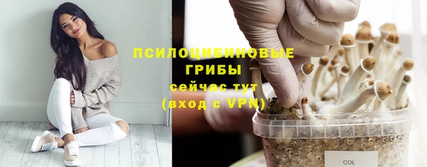 MDMA Premium VHQ Новодвинск