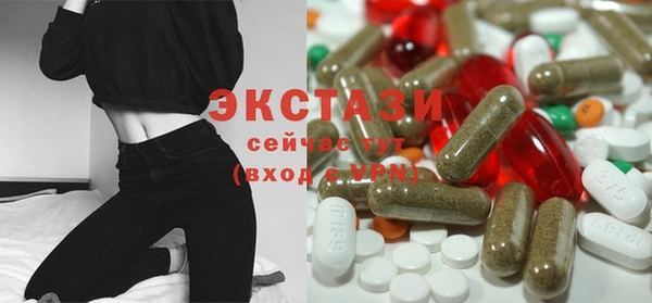 сатива Новозыбков