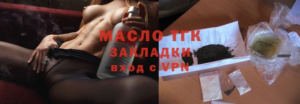 сатива Новозыбков
