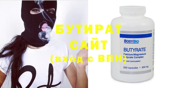 сатива Новозыбков
