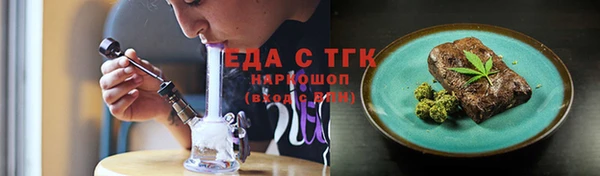 сатива Новозыбков