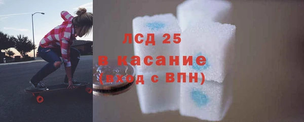 индика Новокубанск