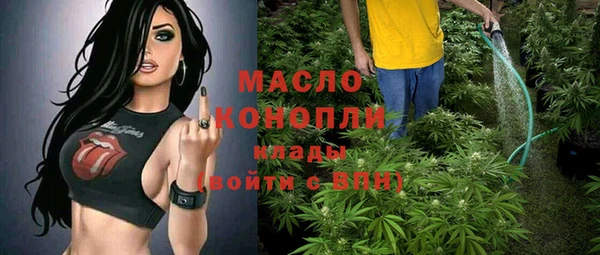индика Новокубанск
