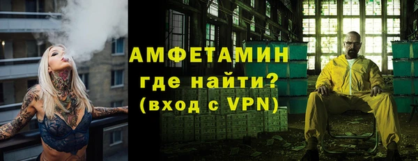 индика Новокубанск