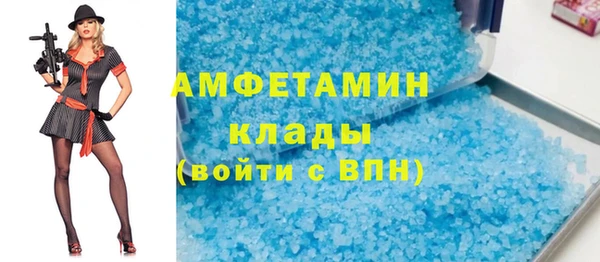 сатива Новозыбков