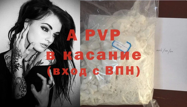 сатива Новозыбков