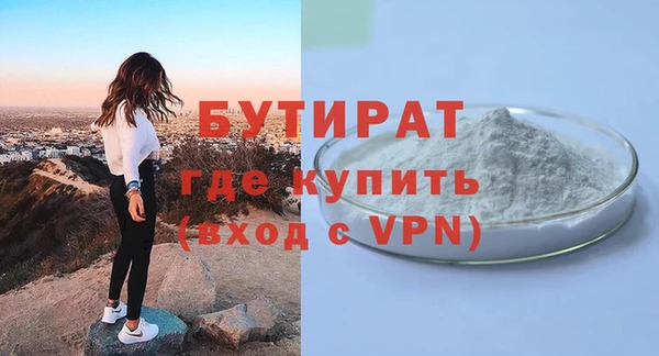 сатива Новозыбков
