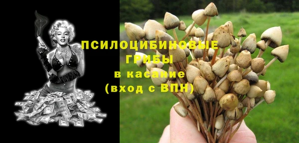 индика Новокубанск