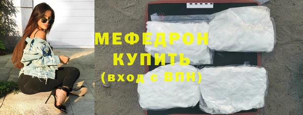 сатива Новозыбков